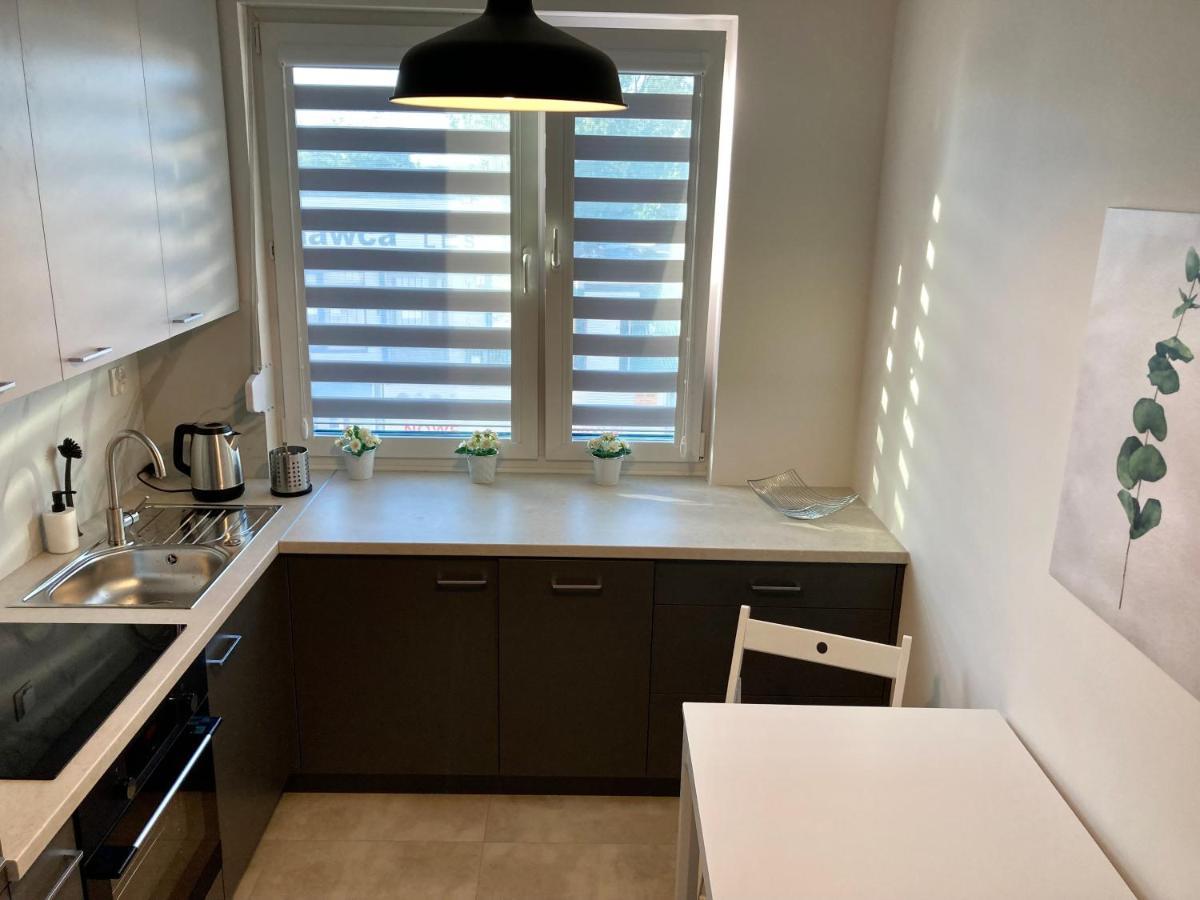 Apartament Lagiewniki Краків Екстер'єр фото