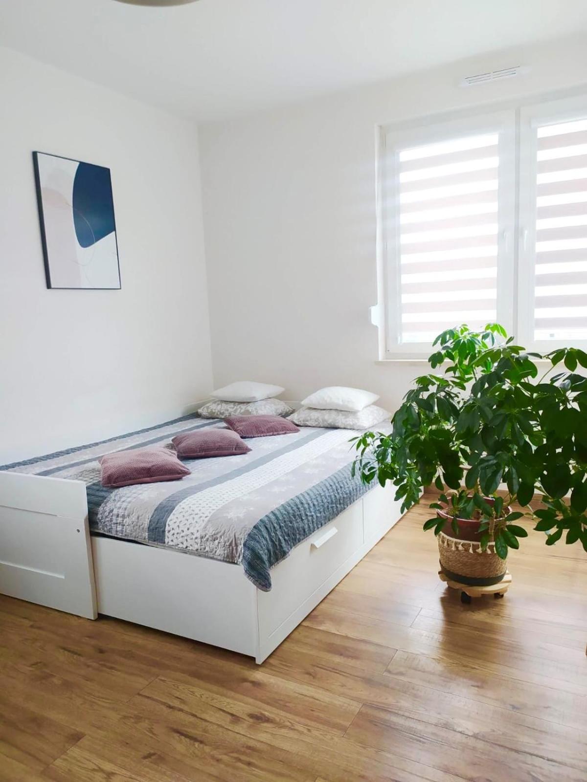 Apartament Lagiewniki Краків Екстер'єр фото